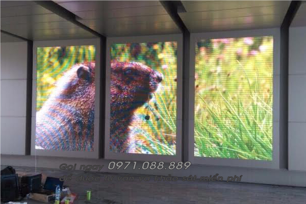 Bảng điện tử cho sân gold Đồng Mô